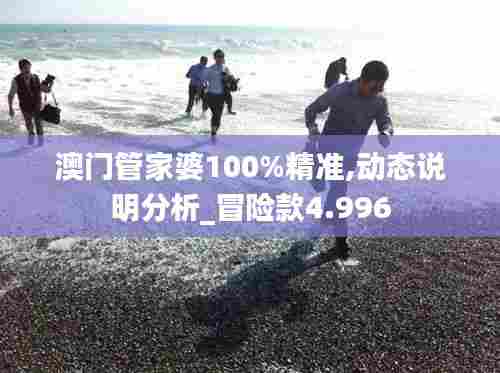 澳门管家婆100%精准,动态说明分析_冒险款4.996