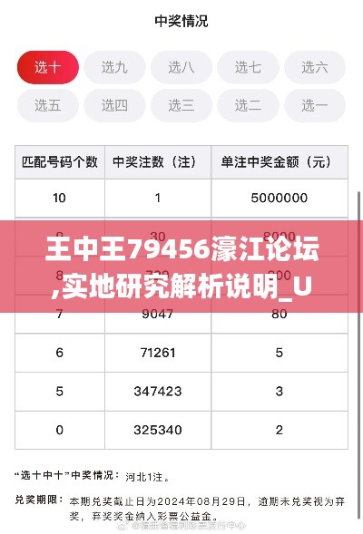 王中王79456濠江论坛,实地研究解析说明_U9.683