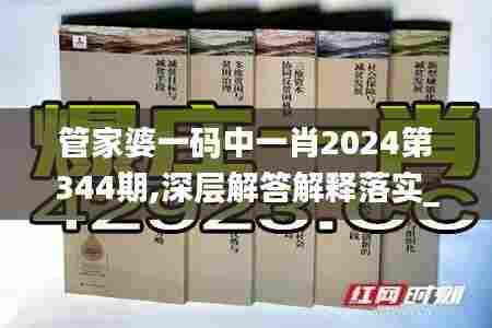 管家婆一码中一肖2024第344期,深层解答解释落实_旗舰款7.876