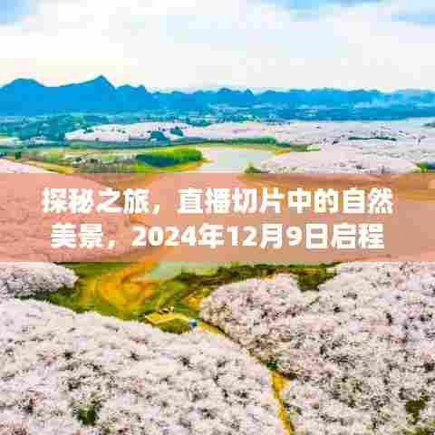 探秘之旅,直播切片带你领略自然美景,启程时刻2024年12月9日