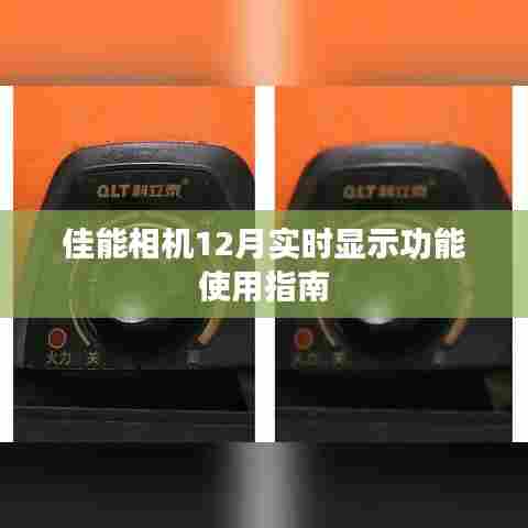 鸟覆危巢 第4页