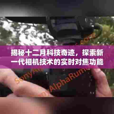 揭秘新一代相机技术,实时对焦功能的科技奇迹——以5D Mark III为例