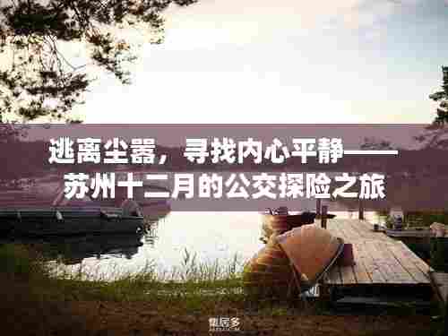 如花似玉 第4页