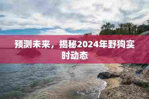 揭秘未来，野狗实时动态预测报告（2024版）