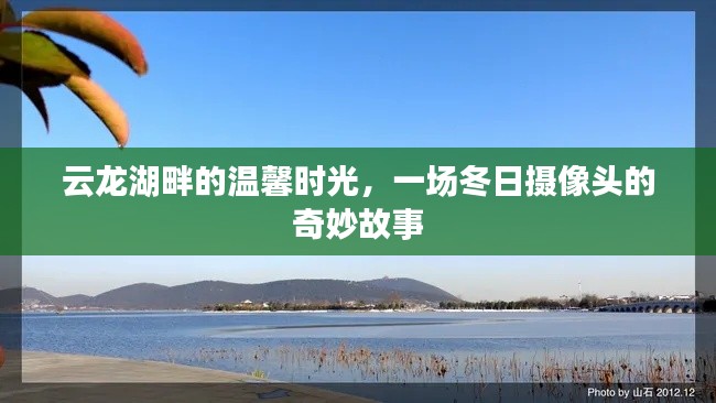 云龙湖畔冬日温馨时光,摄像头下的奇妙故事