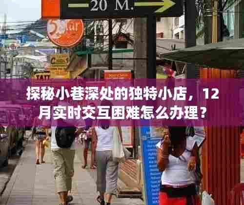 探秘小巷深处的独特小店,应对实时交互困难,12月办理指南!