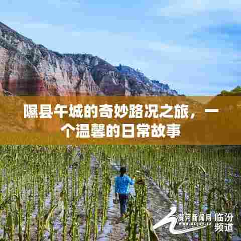 隰县午城的日常奇妙之旅，温馨路况之旅