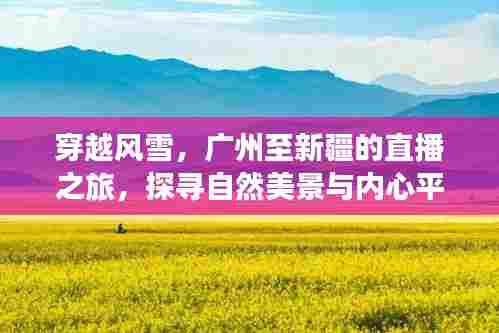 广州至新疆穿越风雪直播之旅,探寻自然美景与内心宁静之道