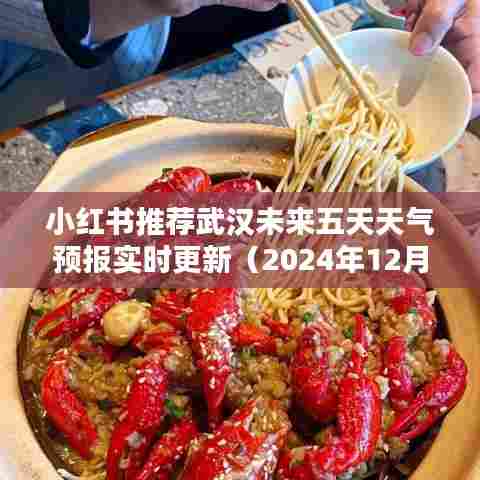 小红书推荐,武汉未来五天天气预报实时更新(2024年12月)
