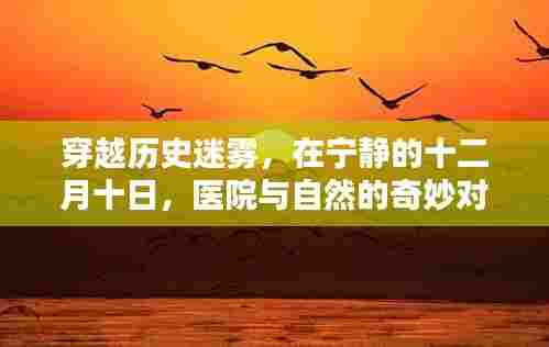 穿越历史迷雾,医院与自然在宁静十二月的奇妙对话