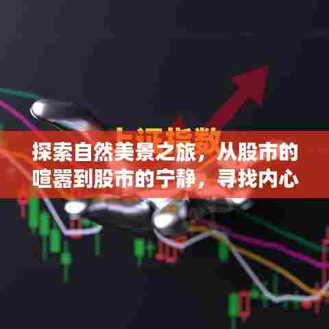 股市与自然美景的双重探索，心灵平和与财富增值的奇迹之旅