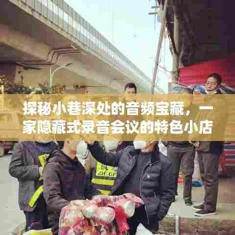 探秘小巷深处的音频宝藏,特色录音会议小店揭秘