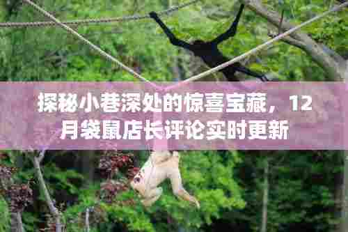 夫贵妻荣 第3页