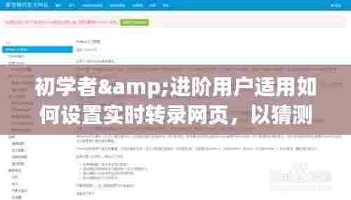 如何设置实时转录网页,适合初学者与进阶用户(参考日期,2024年12月10日)