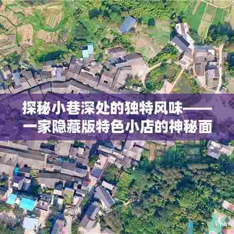 探秘小巷深处的独特风味,隐藏版特色小店的魅力之旅