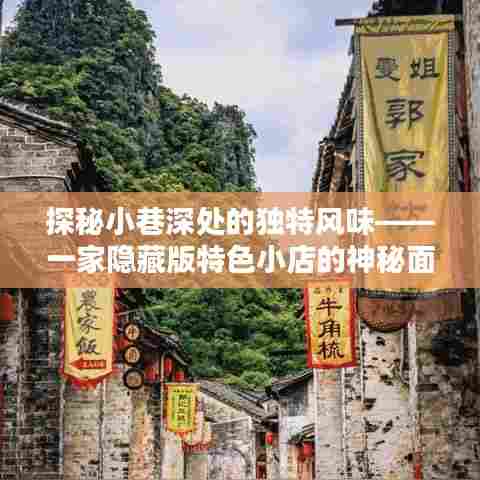 探秘小巷深处的独特风味,隐藏版特色小店的魅力之旅