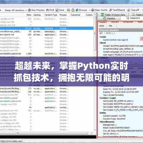 掌握Python实时抓包技术,开启未来无限可能之旅