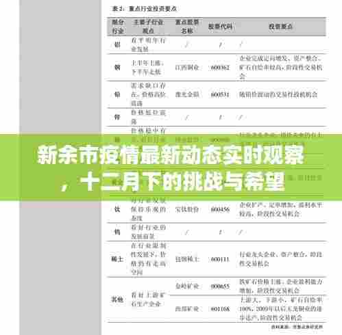 新余市疫情最新动态观察，十二月下的挑战与希望展望