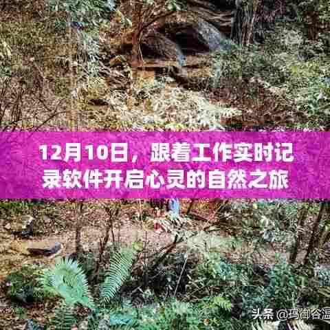 工作实时记录软件引领心灵自然之旅,启程于12月10日