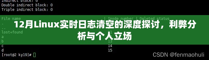 深度探讨Linux实时日志清空,利弊分析与个人立场