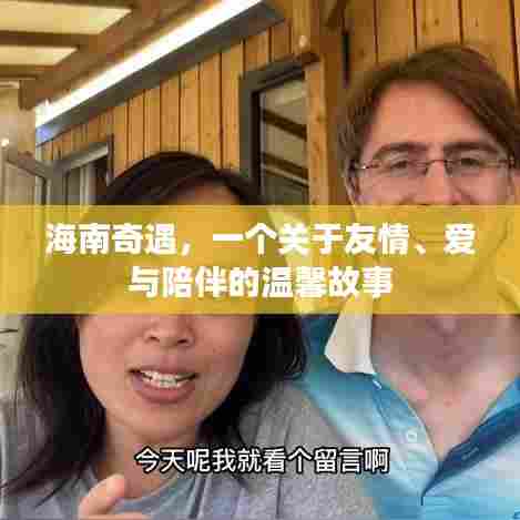 海南奇遇,友情、爱与陪伴的温暖篇章