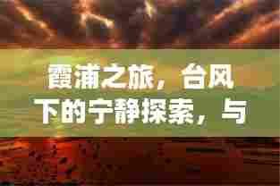 台风下的霞浦之旅,与自然共舞的美妙探索