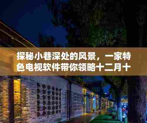 探秘小巷深处特色电视软件,十二月十日别样风情领略之旅