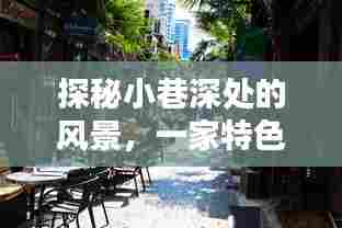 探秘小巷深处特色电视软件,十二月十日别样风情领略之旅