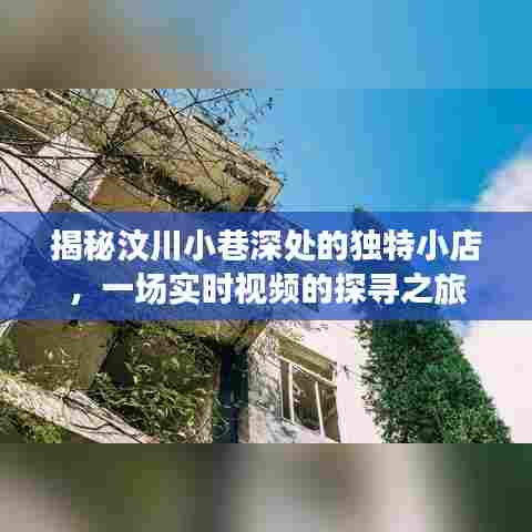 汶川小巷深处的独特小店揭秘,实时视频探寻之旅