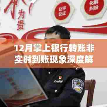 12月掌上银行转账非实时到账现象,深度解析与观点立场阐述