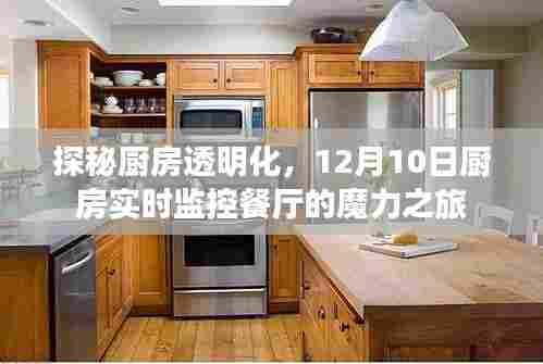 厨房透明化揭秘,实时监控展现魔力之旅,厨房与餐厅的联动体验日活动报道