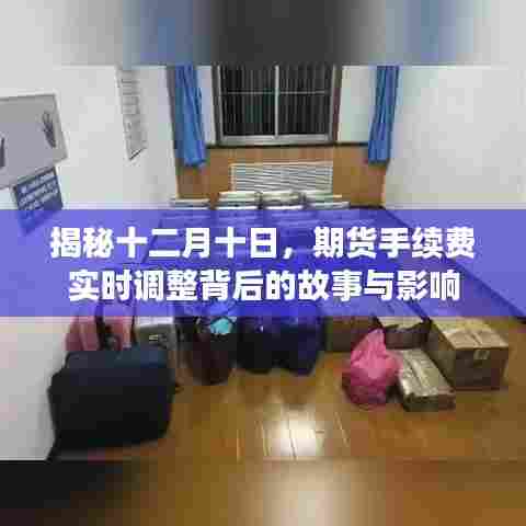 揭秘期货手续费实时调整背后的故事与影响,十二月十日深度剖析