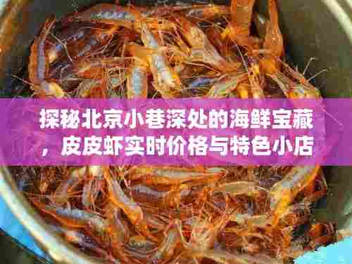 探秘北京小巷海鲜宝藏,皮皮虾实时价格与独特风情小店