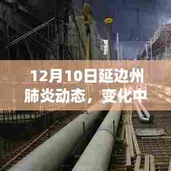 12月10日延边州肺炎动态,学习变革中的信心与成就感之源