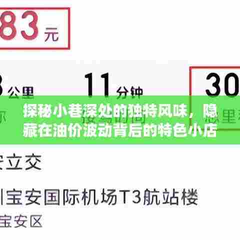 油价波动背后的独特风味,小巷深处特色小店的探秘故事