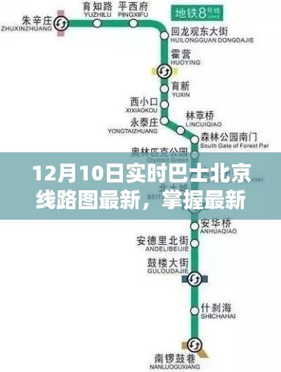 掌握最新动态!北京巴士线路图实时更新,轻松出行指南(12月10日更新)