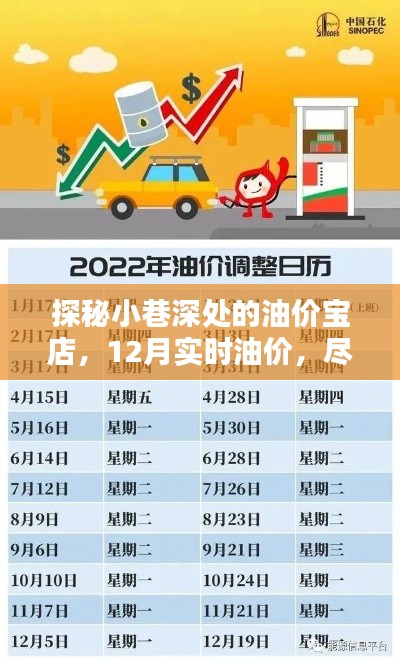 探秘小巷深处的油价宝店,实时掌握油价动态,洞悉油价走势