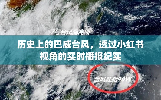 小红书视角下的巴威台风实时播报纪实,历史回顾与剖析