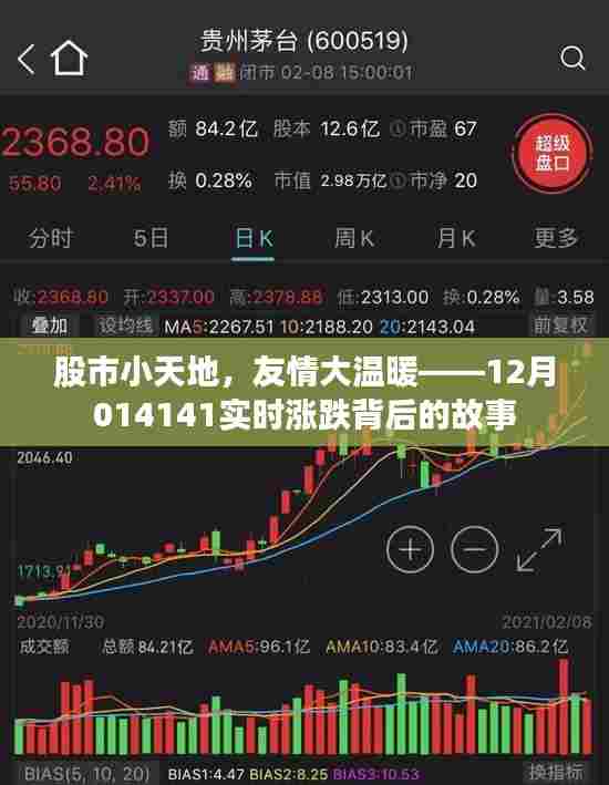 股市小天地背后的友情与故事,实时涨跌揭示的温暖情感