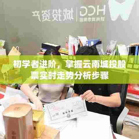 初学者进阶指南,掌握云南城投股票实时走势分析步骤