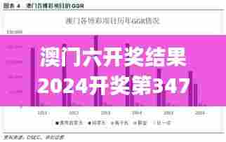澳门六开奖结果2024开奖第347期,深度调查解析说明_GM版2.463
