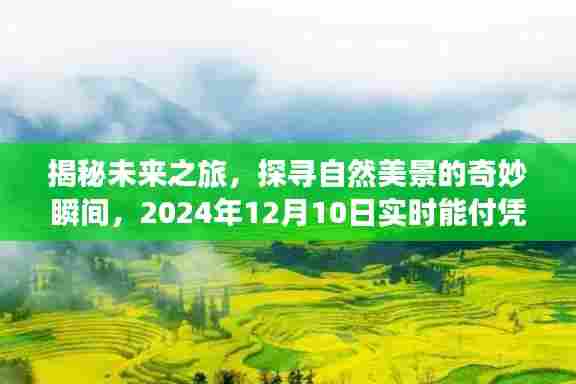 揭秘未来之旅，探寻自然美景的启示与实时能付凭证的神秘之旅（2024年12月10日）