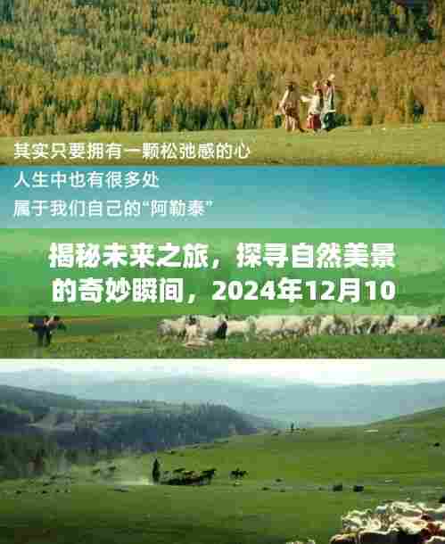 揭秘未来之旅,探寻自然美景的启示与实时能付凭证的神秘之旅(2024年12月10日)