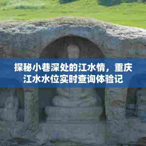 重庆小巷深处的江水情,实时水位查询深度体验记