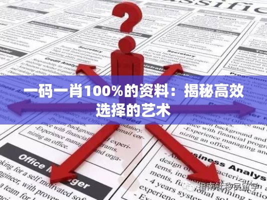 一码一肖100%的资料:揭秘高效选择的艺术