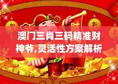 澳门三肖三码精准财神爷,灵活性方案解析_Deluxe10.198