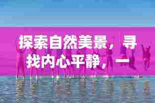 自然探索与心灵之旅,橄榄球的奇妙旅程预测至未来