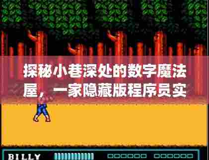 探秘数字魔法屋,程序员实时数据分享小店的奇妙之旅