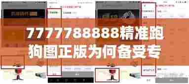 7777788888精准跑狗图正版为何备受专业玩家推崇?