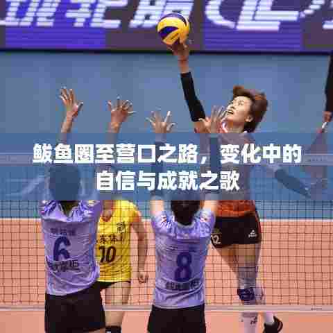 鲅鱼圈至营口之路，自信成就之歌